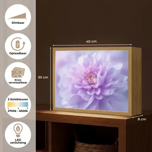 Paars - Dahlia - Dromerig Light Box met batterij (Wandlamp) middel -USP_websiteoverzichtNL