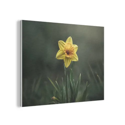 Bloem - Narcis - Gras - Geel PET vilt klein -3d
