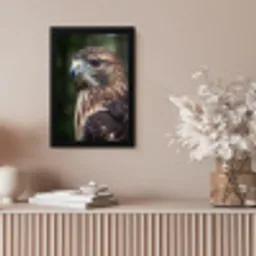 Buizerd - Roofvogel - Natuur - Bruin fotolijst zwart zonder passe partout klein -sfeer5