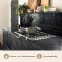 Zwanen - Rivier - Bos keuken achterwand 2 middel -usp_DE