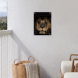 Leeuw in het schaduwlicht tuinposter los doek klein -sfeer8