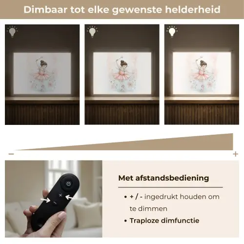 Ballerina - Fee - Roze Light Box met batterij (Wandlamp kind) middel -USP_dimbaarNL