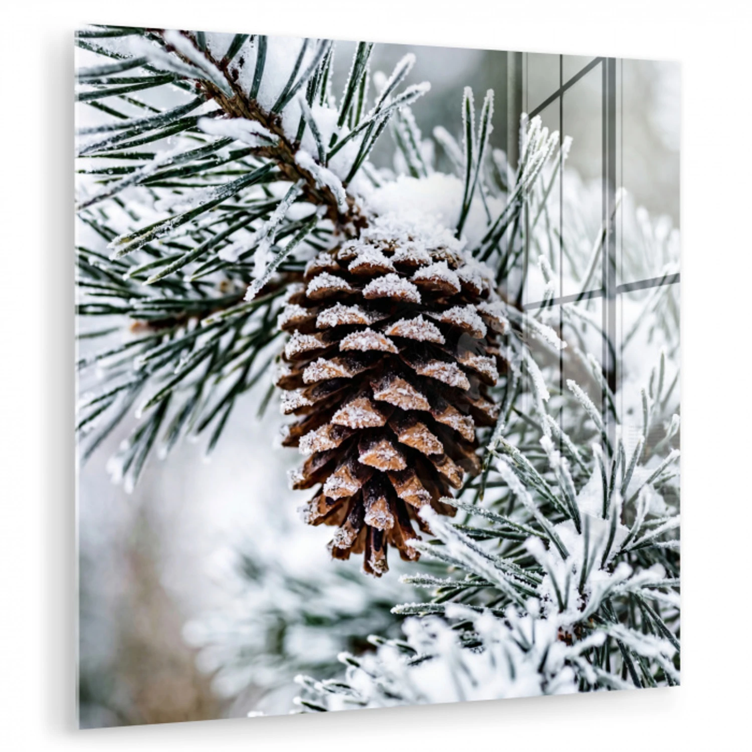 Dennenappel - Tak - Sneeuw - Winter - Sfeervol plexiglas 5mm klein -zzzproduct_nieuw