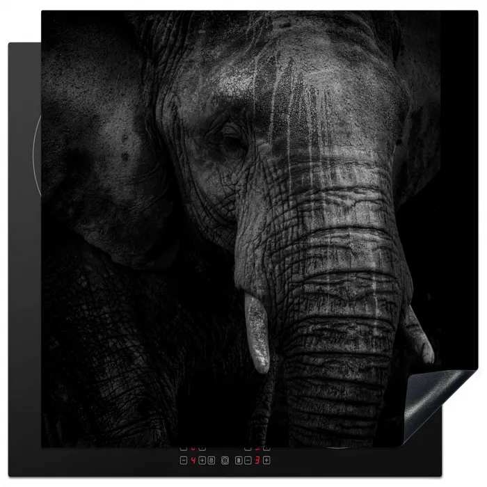 Olifant - Dier - Portret Inductie beschermer vinyl 3mm middel -3d