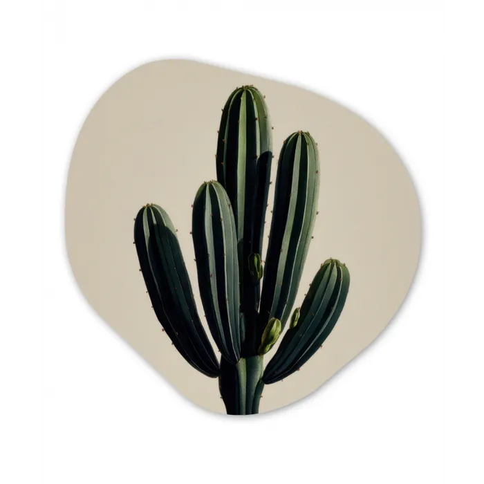 Cactus - Subtiel - Groen Wandcirkel Organisch Forex 3mm klein -3d