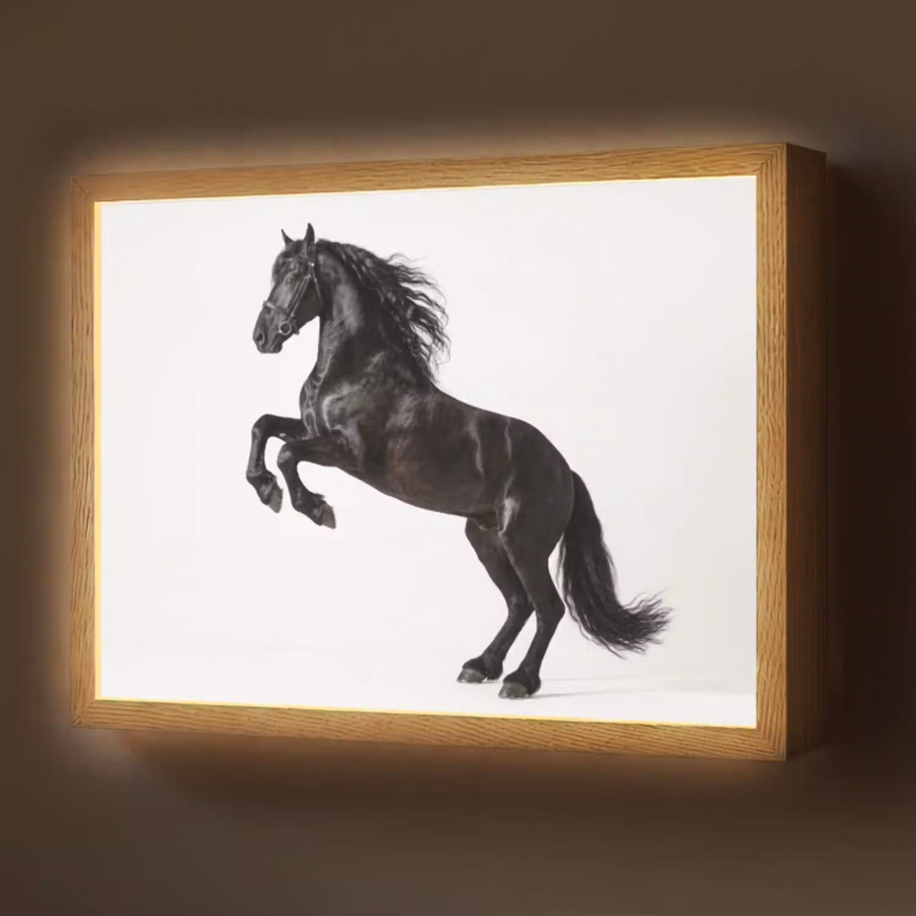 Zwart - Paard - Portret Light Box met batterij (Wandlamp) middel -z3d_website