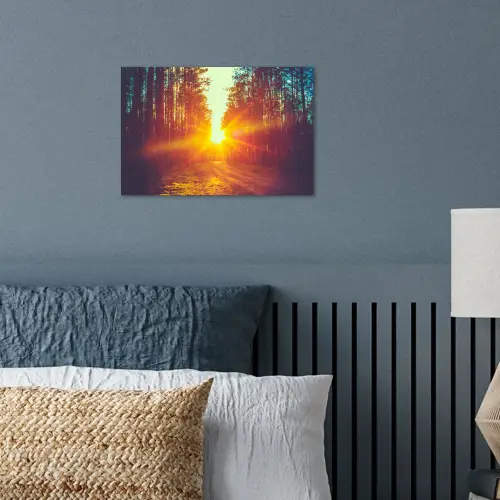Zonsondergang - Bomen - Bos - Natuur poster papier klein -sfeer2