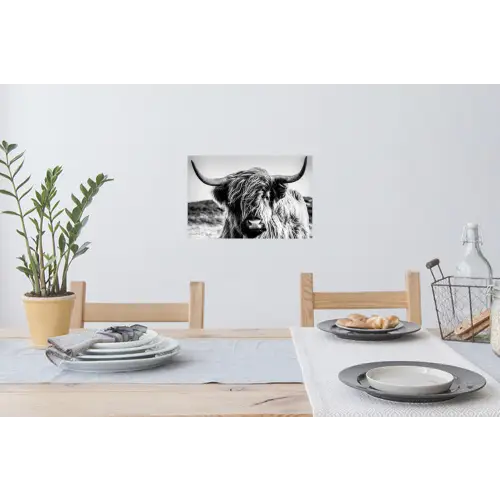 Schotse hooglander - Close up - Horens - Vacht - Zwart Wit Muursticker klein -eettafel