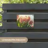 Tulpen - Roze - Zonnestralen tuinposter los doek klein -sfeer3