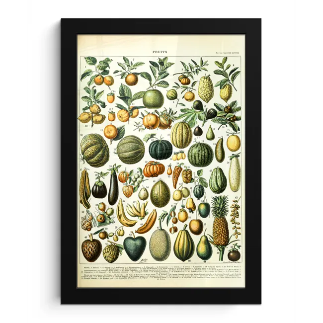 Fruit - Eten - Design - Vintage - Adolphe Millot fotolijst zwart zonder passe partout klein -3d