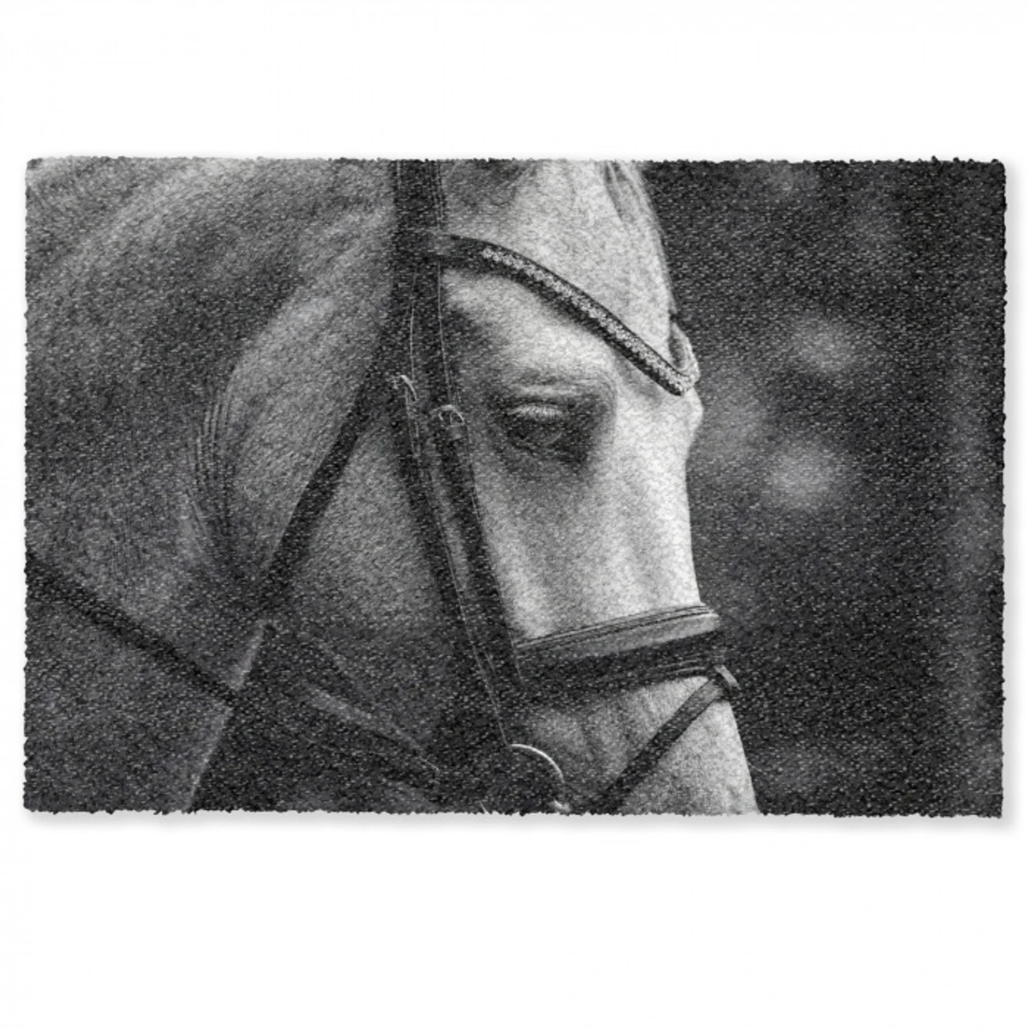 Paard - Schimmel - Portret Deurmat klein -zkaufland3d