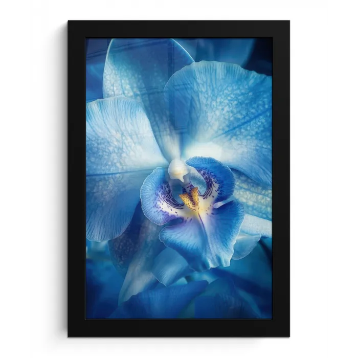 Blauw - Orchidee - Elegeant fotolijst zwart zonder passe partout klein -3d