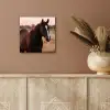 Paard - Zonsondergang - Bruin aluminium wit klein -sfeer4
