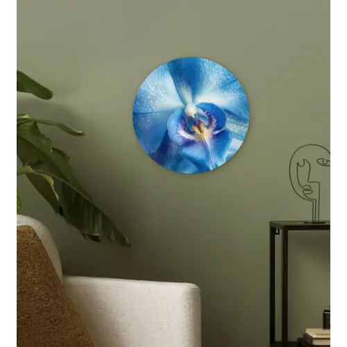 Blauw - Orchidee - Elegeant Wandcirkel kunststof plaat 5mm dik klein -sfeer3