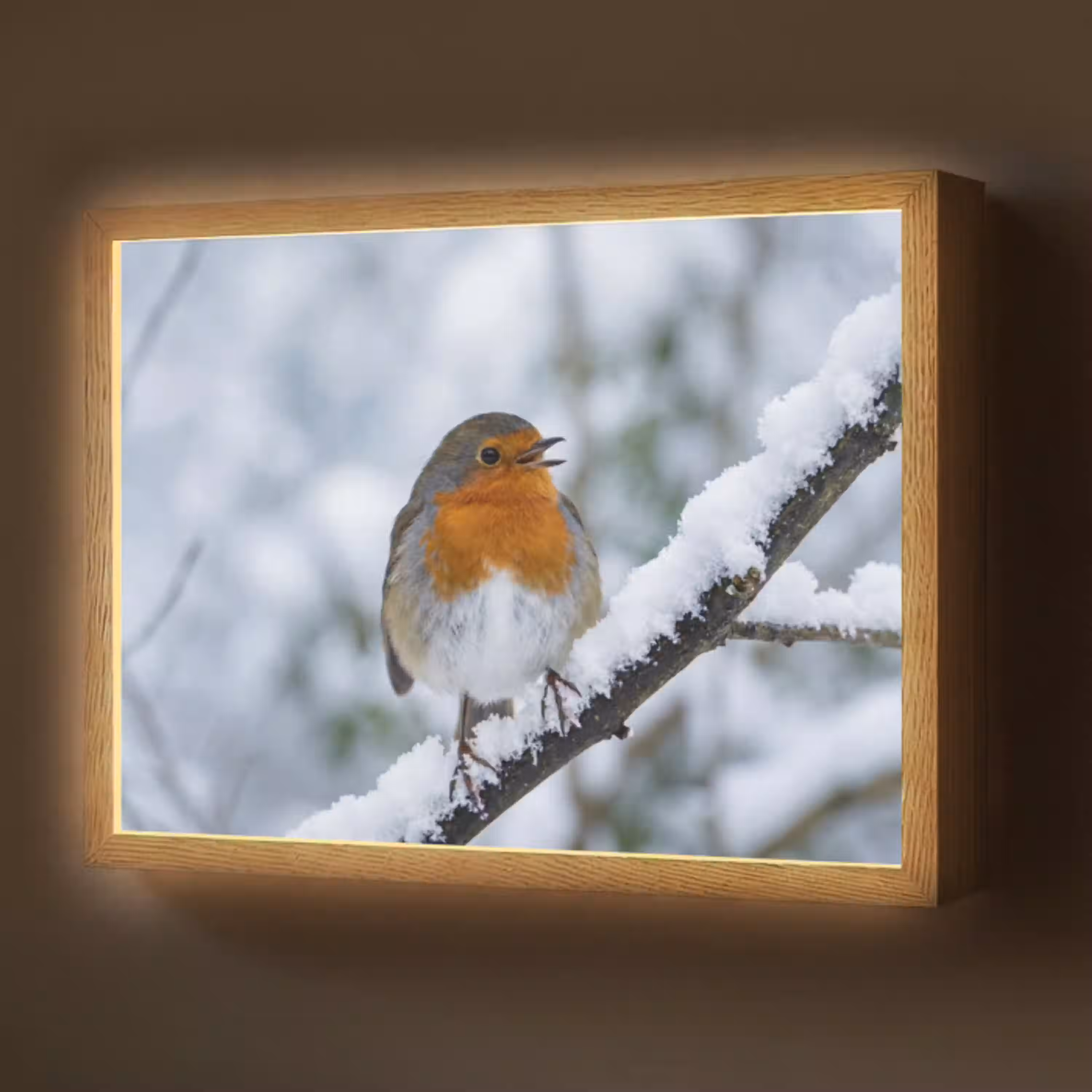 Roodborstje - Tak - Sneeuw - Winter - Levendig Light Box met batterij (Wandlamp) middel -z3d_website
