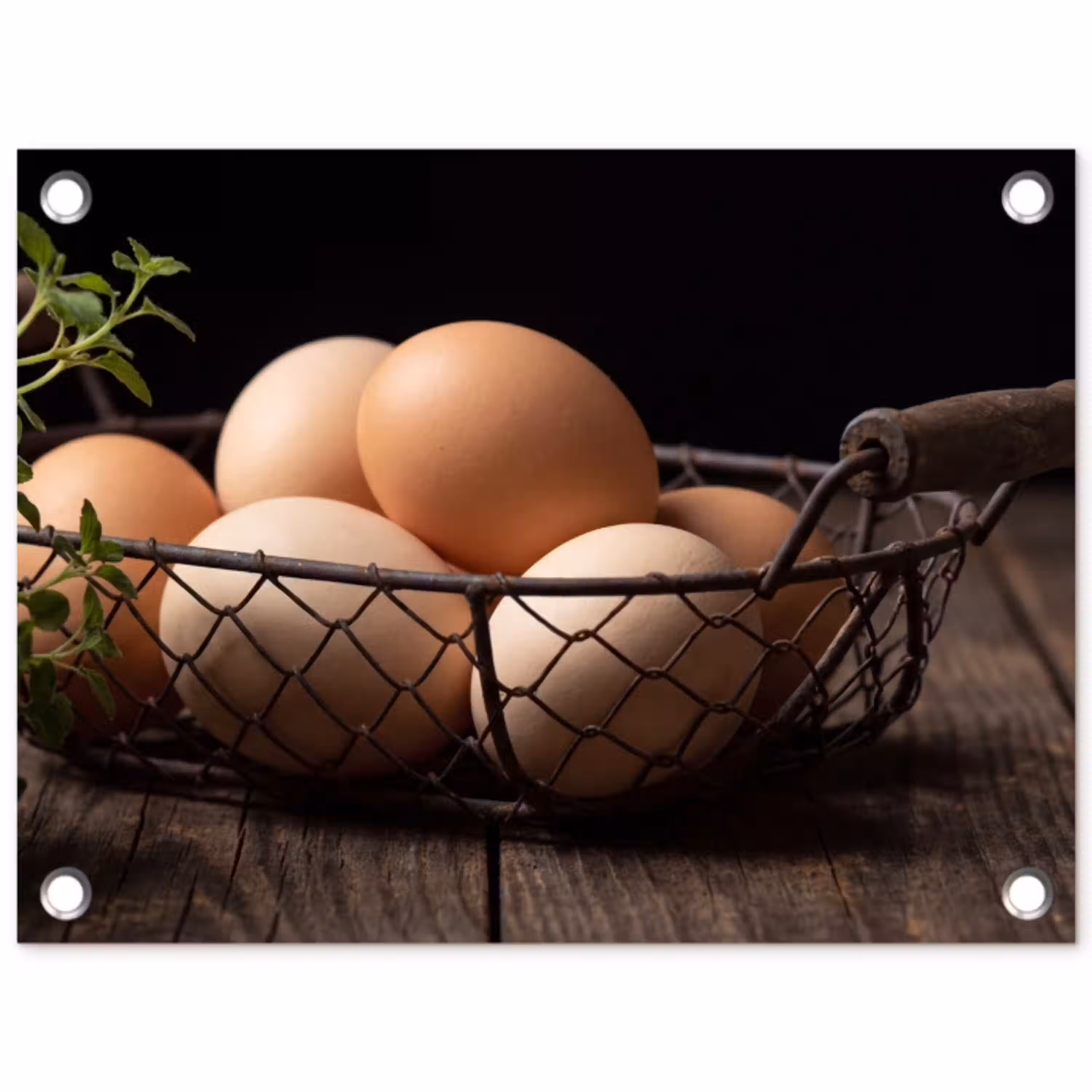 Eieren - Mand - Eten tuinposter los doek klein -3d