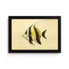 Vis - Sierlijk - Rugvin - Geel fotolijst zwart zonder passe partout klein -3d