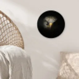 Vogel - Adelaar - Roofvogels - Oog - Snavel - Licht Wandcirkel kunststof plaat 5mm dik klein -sfeer5