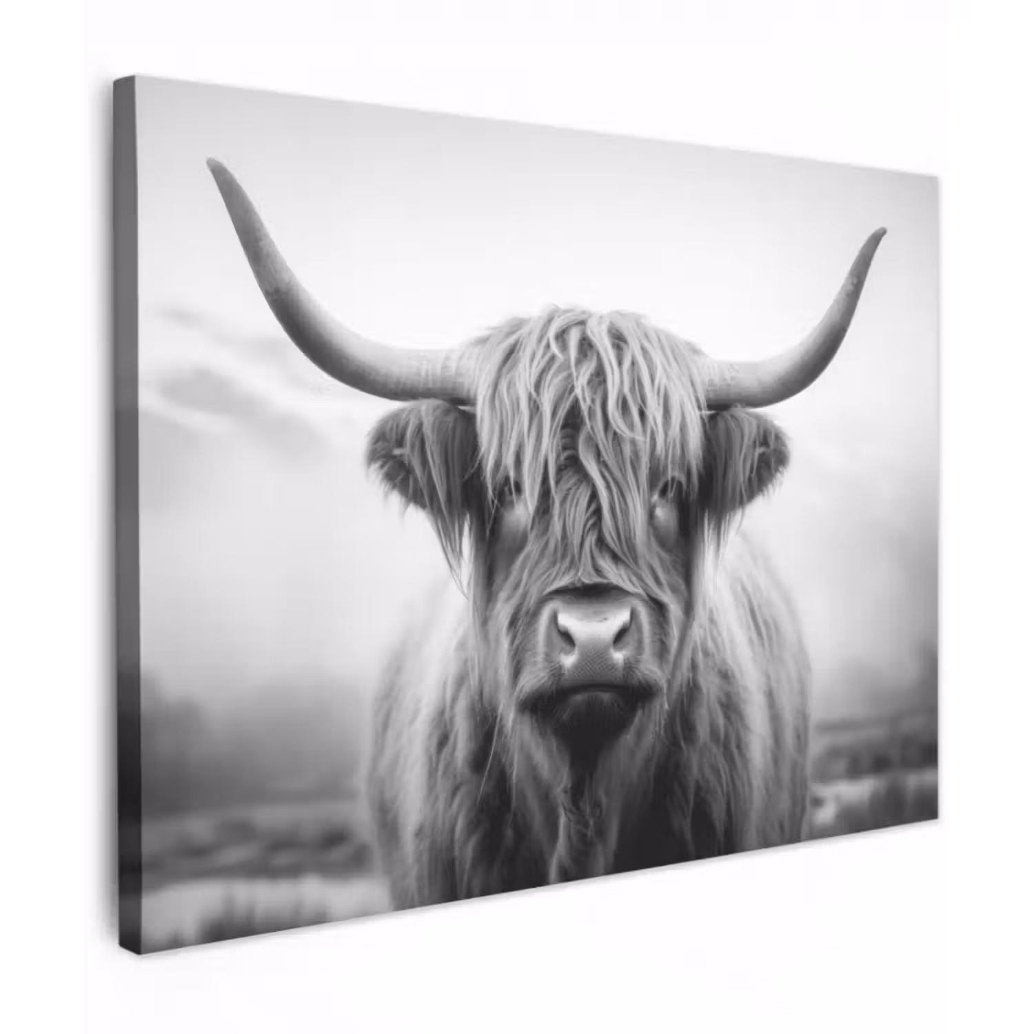 Canvas schilderij - Schotse hooglander - Mist - Zwart - Wit