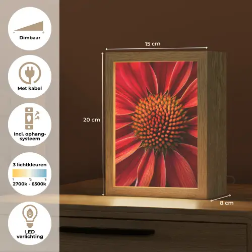 Close up - Bloem- Rood Light Box met kabel (Tafellamp) klein -USP_NL