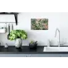 Compositie van bladeren - Groen - Roze Muursticker klein -keuken