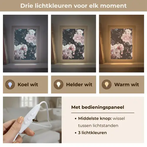 Vintage - Rozen - Romantisch - Bloemen Light Box met kabel (Tafellamp) klein -USP_lichtkleurNL