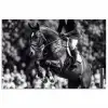 Springen - Paard - Zwart - Wit poster papier klein -3d