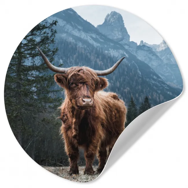 Schotse hooglander - Berg - Landschap - Bomen - Koe - Natuur Wandcirkel behangsticker klein -3d