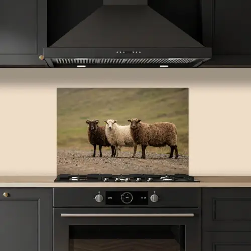 Schapen - Bruin - Wit - Grindpad keuken achterwand spatscherm klein -sfeer1