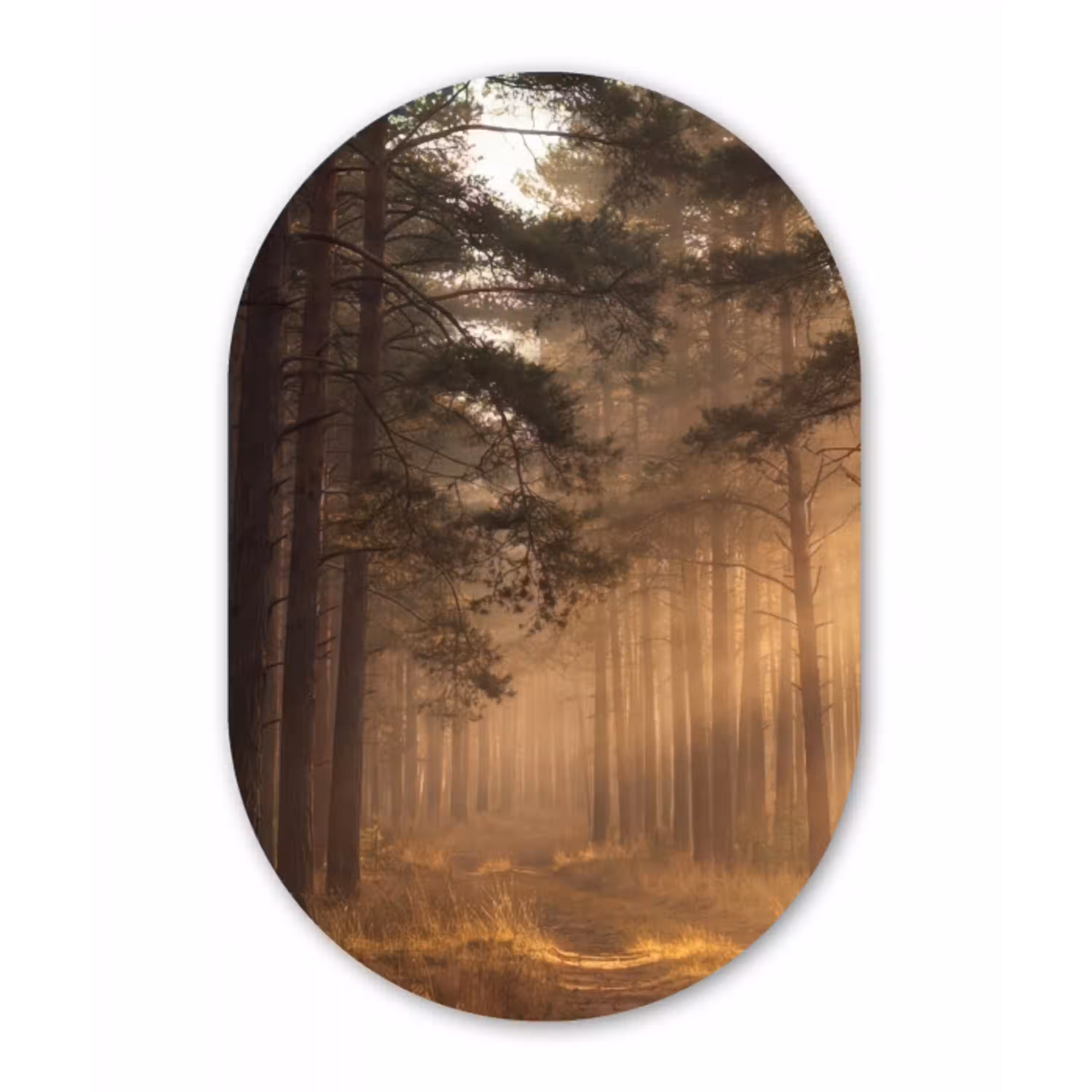 Bos - Mist - Zonlicht Wandcirkel Ovaal Aluminium middel -3d