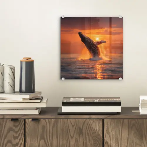 Walvis - Zon - Zee plexiglas 5mm klein -sfeer1