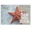 Sea you soon - Zeester - Zee Deurmat klein -zkaufland3d