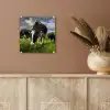Koeien - Dieren - Gras - Weiland - Boerderij plexiglas 5mm klein -sfeer5