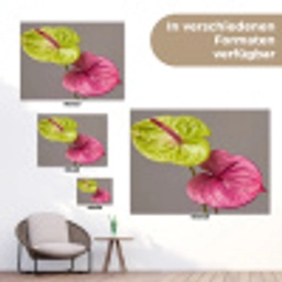 Planten - Anthurium - Groen - Roze tuinposter los doek klein -Xsfeer9_DE