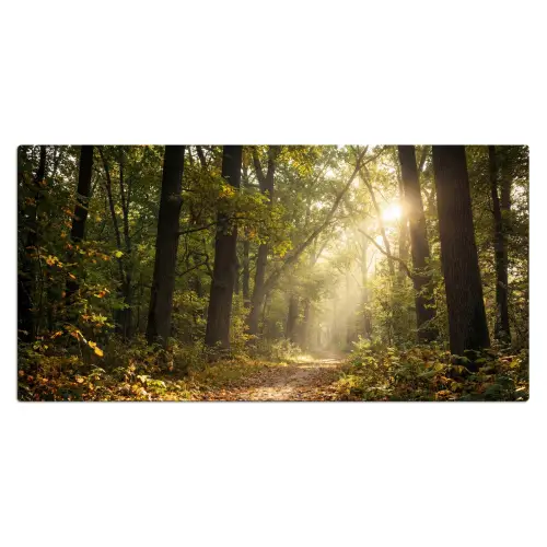 Zonlicht - Bospad - Bomen Muismat XXL klein -3d_leeg