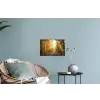 Bos - Herfst - Zon - Landschap - Natuur - Oranje Muursticker klein -plant