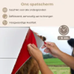 Schotse hooglander - Koeien - Natuur - Groen - Gras keuken achterwand spatscherm klein -spatscherm_NL