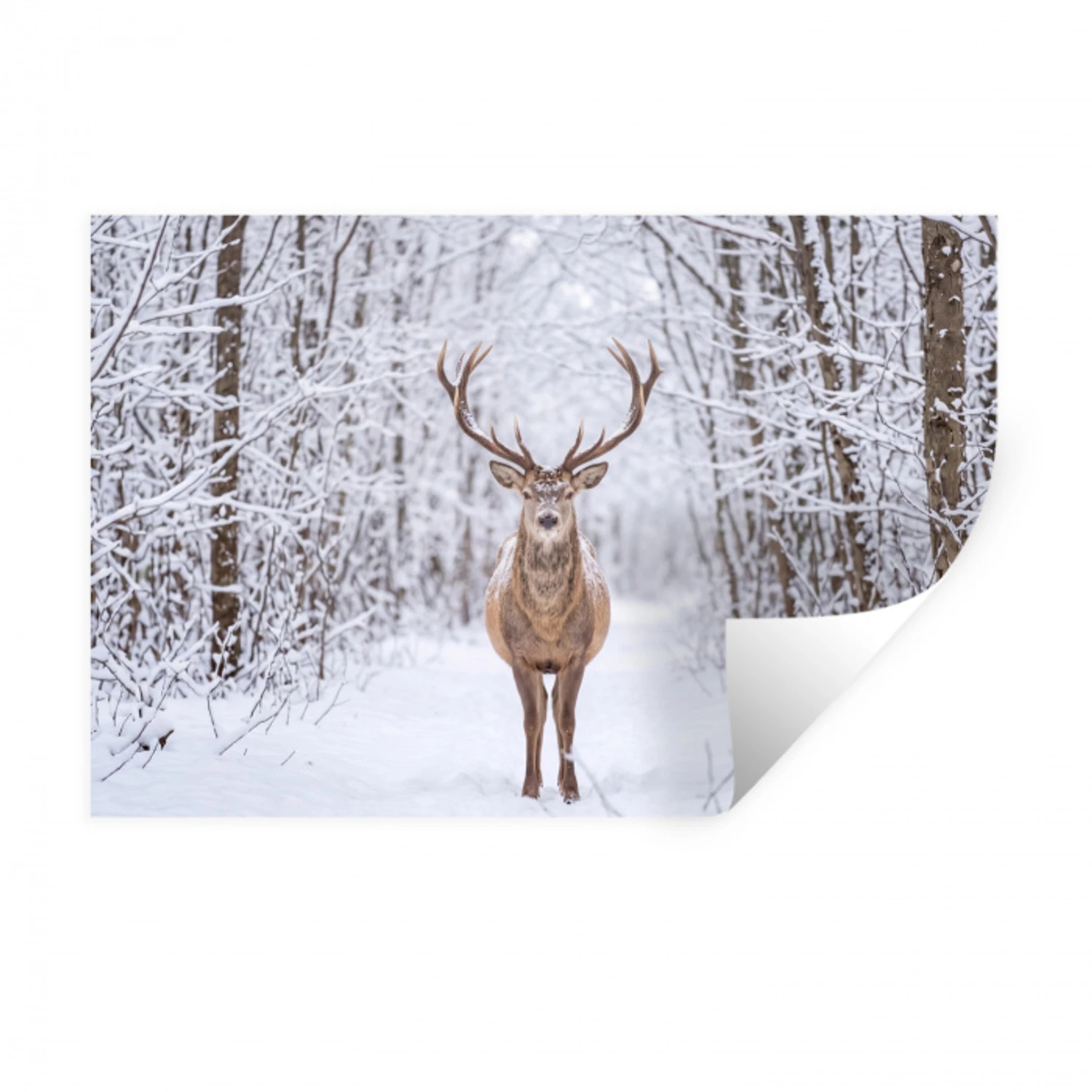 Hert - Winter - Bos - Natuur - Wit Muursticker klein -3d
