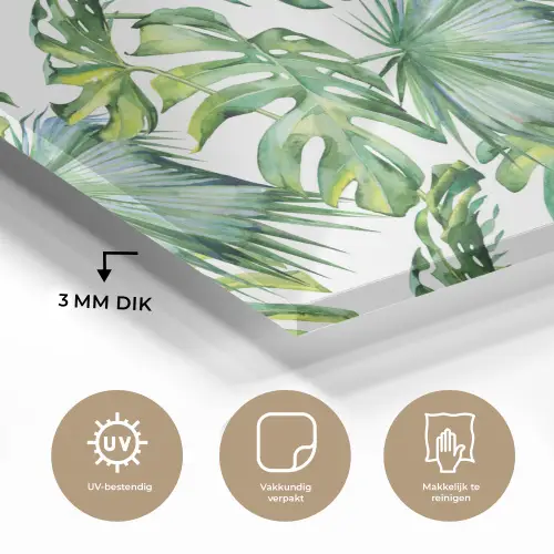 Monstera - Palmblad - Jungle - Tropisch plexiglas 5mm klein -sfeer2