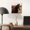 Paard - Zonsondergang - Bruin aluminium wit klein -sfeer5