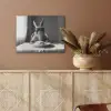 Konijn - Bunny - Zonnebril - Tafelkleed - Pasta - Schattig PET vilt klein -sfeer4