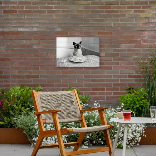 Kat - Siamees - Zwart Wit - Schattig - Dieren Tuinposter op houten frame 2 cm dik klein -sfeer3