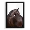 Portret - Paard - Elegant fotolijst zwart zonder passe partout klein -3d