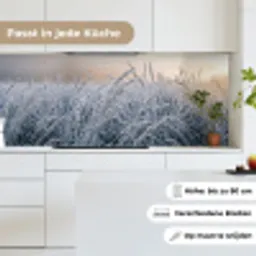 Rijp - Gras - Kristallen - Winter - Minimalistisch keuken achterwand 2 middel -sfeer4_DE
