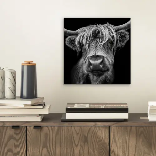 Schotse Hooglander - Horens - Zwart - Wit - Koe - Wild - Dieren aluminium wit klein -sfeer1