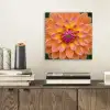 Dahlia - Bloem - Oranje aluminium wit klein -sfeer1