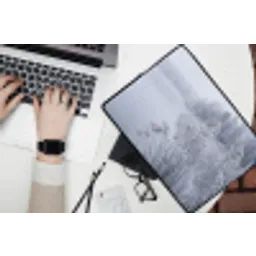 Riet - Bevroren - Winter - Natuur laptophoes neopreen klein -bureau