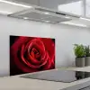Rood - Roos - Romantisch keuken achterwand spatscherm klein -3d_schuin