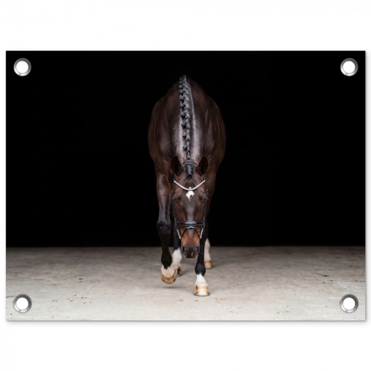 Paard - Modern - Portret tuinposter los doek klein -3d