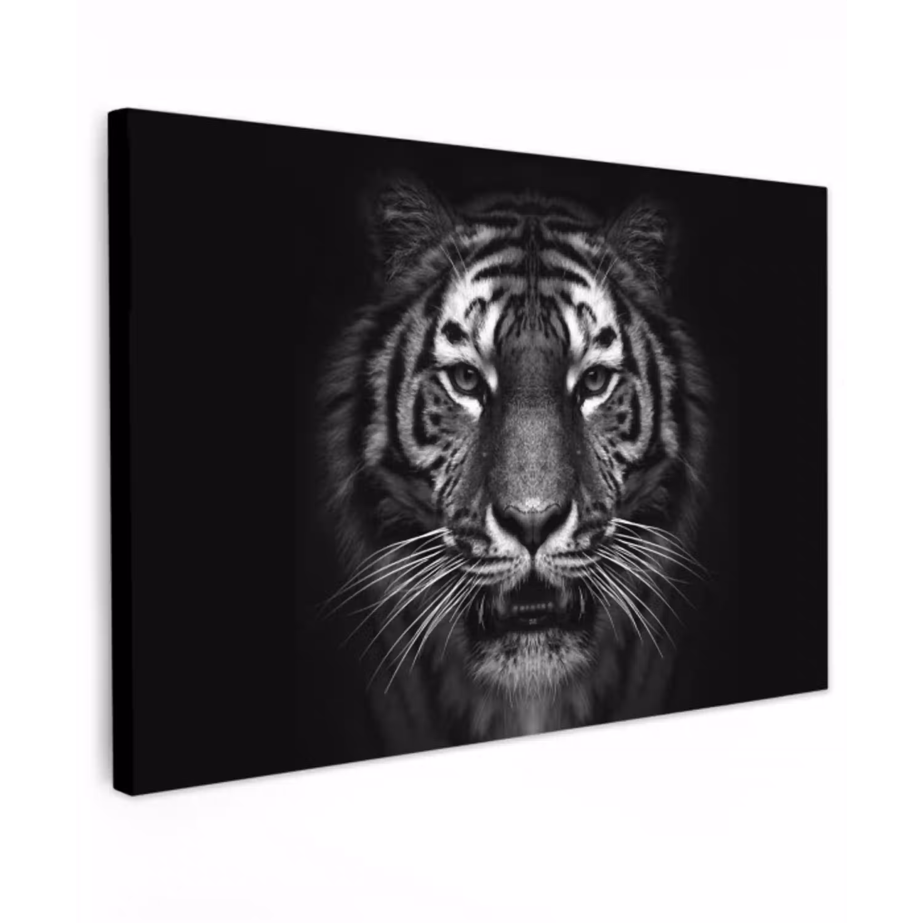 Tijger in het zwart-wit Tuinposter op houten frame 2 cm dik klein -3d